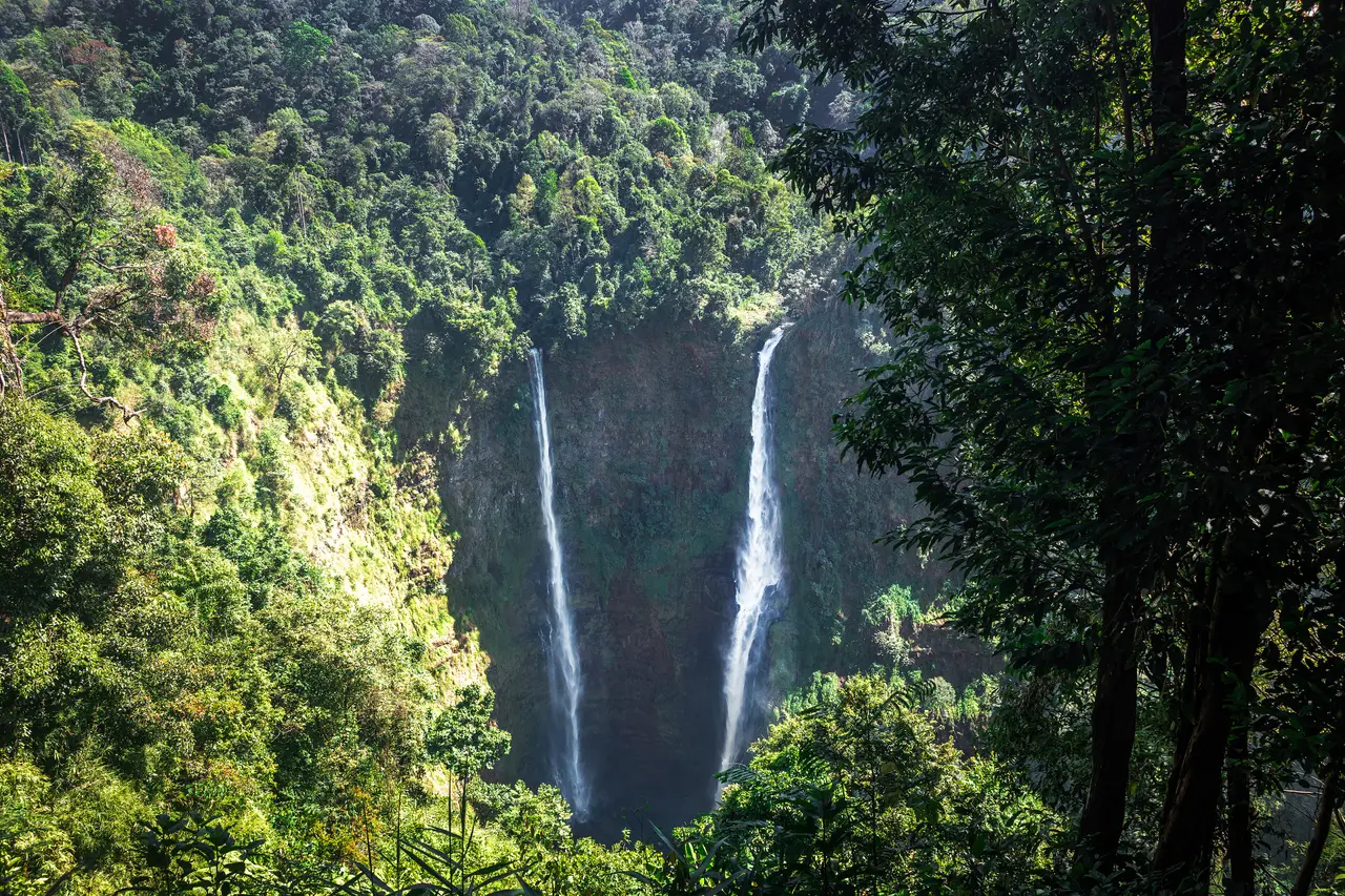 Twin waterfalls of Tad Fane dropping into a deep forested gorge on the Bolaven Plateau
