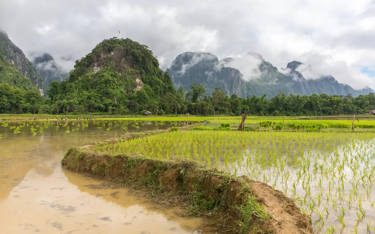 A muddy track winding between flooded rice paddies towards karst peaks in the wet season