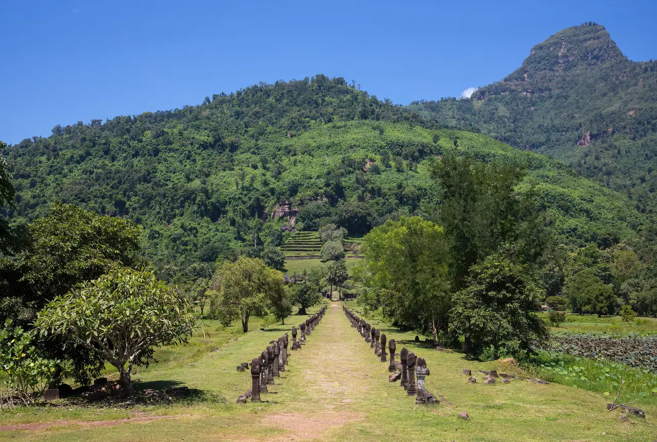 A long processional path lined with stone pillars leading towards a forested mountain at Vat Phou